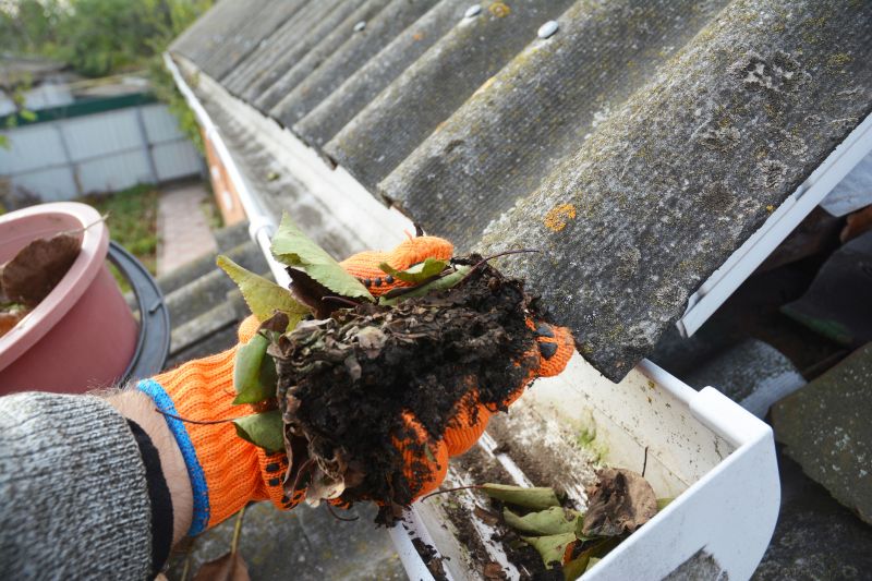 Building Gutter Cleaning
