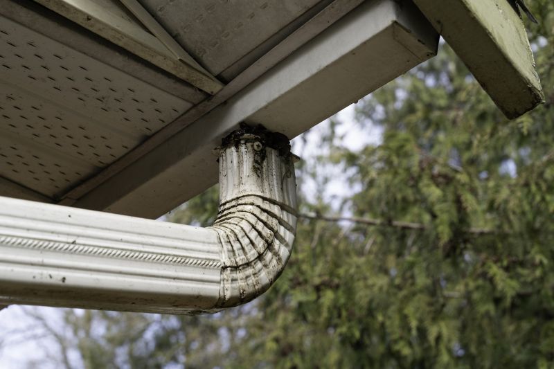 Downspout Flushing
