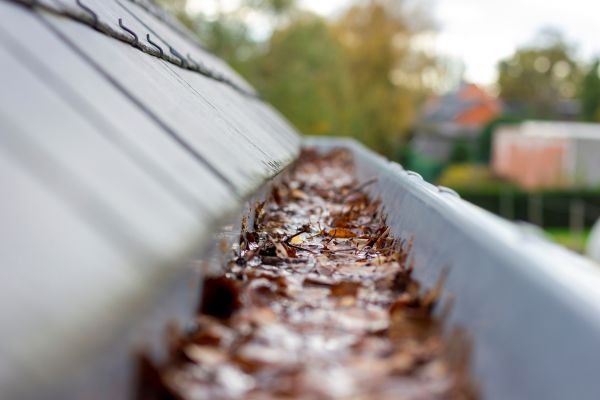 Commercial Gutter Cleaning in Chapel Hill