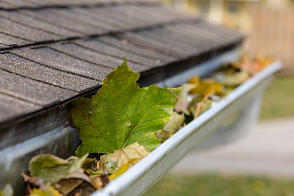 Commercial Downspout Cleaning in Chapel Hill