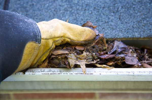 Cost of Jammed Gutter Cleaning in Chapel Hill