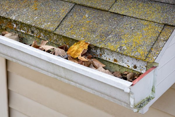 Cost of Garage Gutter Cleaning in Chapel Hill