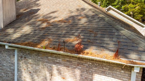 Cost of Gutter Pine Needle Removal in Chapel Hill
